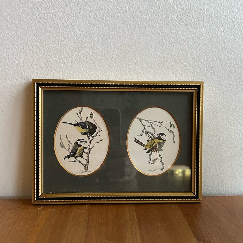 Vintage Framed Bird Art original Print by John Morland